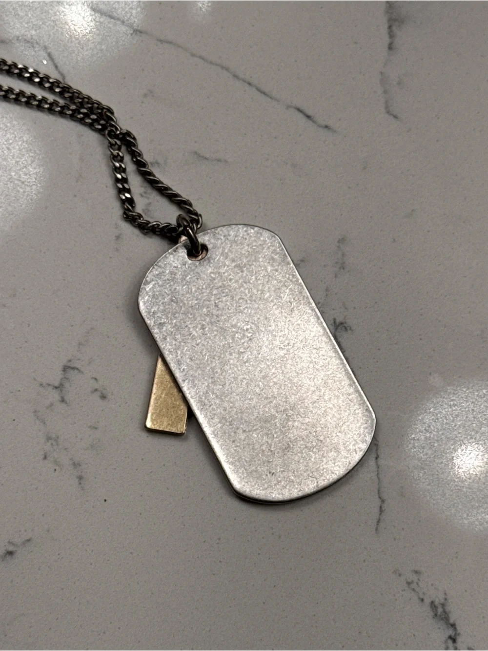 DKNY Chunky Two-Tone Dog Tag Necklace